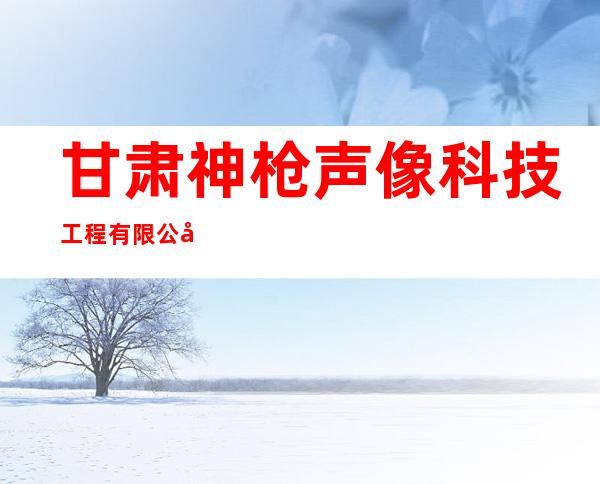 甘肃神枪声像科技工程有限公司